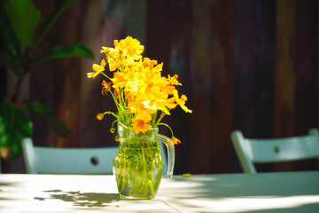 Yellow Cosmos in glass jug on wooden table