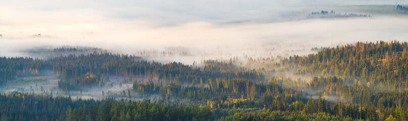 Fog in the morning, turning into a mountain valley in the tatras in Slovakia,panorama