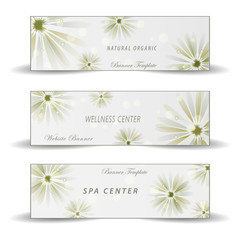 Spa banner template