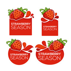 strawberry season, vector collection of juice stickers and berry symbols for your text