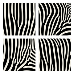 Fototapeta na wymiar Set of animal pattern. Imitation print of skin of zebra. Black stripes on gray background.