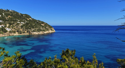 Obraz premium view of the bay from a height