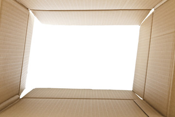 View from inside a cardboard box