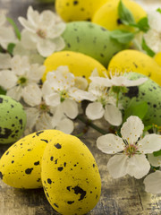 Easter eggs with spring flowers