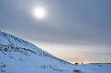 Group of young tourist standing on the horizon of snowy mountains under big sun on dark sky - iceland nature