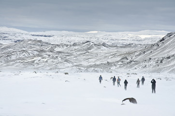 group of young people walking in rough Iceland nature