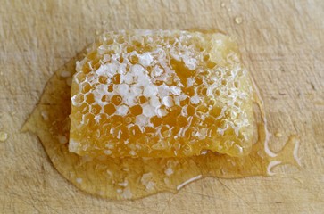 Detail of a fresh honeycomb