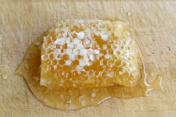 Detail of a fresh honeycomb