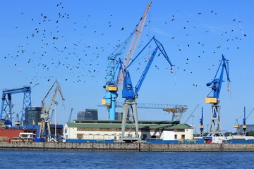 Fototapeta na wymiar Port of Hamburg, Germany