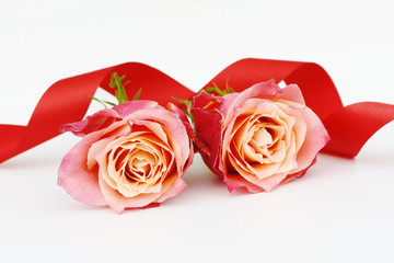lying roses with red ribbon