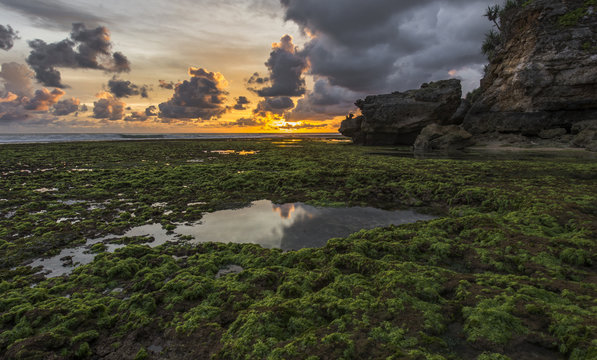 Sunset in seaweed beach