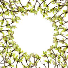 hand painted watercolor branches with young leaves and buds on white background