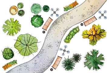 Tuinposter Set hand getrokken aquarel picturale landschapsontwerpelementen: verschillende soorten groen, sinaasappelbomen, struiken, lantaarns, banken en snaky stoep, geïsoleerd op de witte achtergrond voor landschapsontwerp © alchena