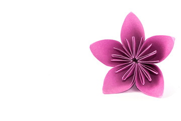 Single paper flower isolated on a white background. Close up