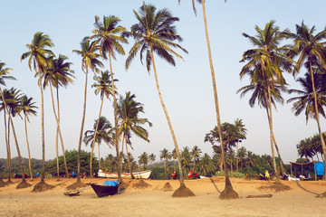 Big palm trees on empty evening beach of popular touristic Goa, India. Chilling mood landscape.