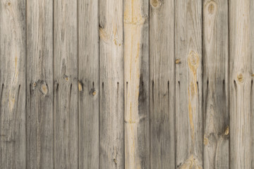Old wooden vertical pine planks wall with rusty nails background texture.