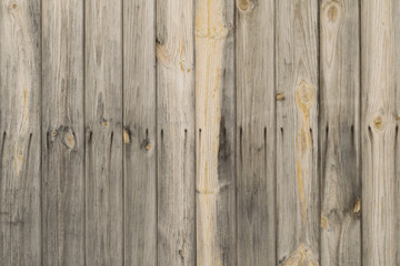 Naklejka premium Old wooden vertical pine planks wall with rusty nails background texture.