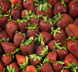 Many Fresh, natural and ripe,red strawberry berries. Close-up, top view background