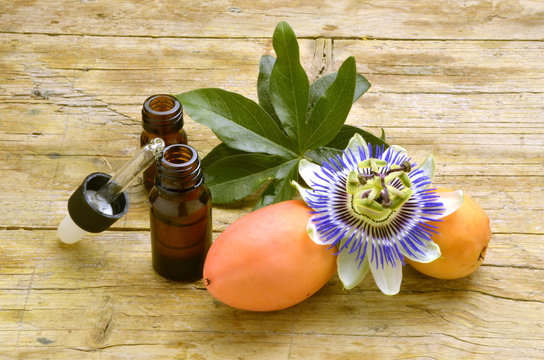 Passionsblumen Passiflora Passion flowers Fiore della passione Mučenka Passiflore Pasiflora زهرة الآلام Պասիֆլորա שעונית Golgotavir&aacute;g  չարչարածաղիկ Страстоцвет &Ccedil;arkıfelek bitki 西番蓮屬 Męczennica 