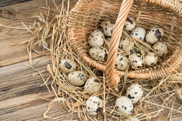 Quail eggs in a basket on old wooden table.