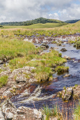 Stream in a farm field