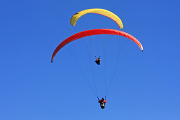 Paragliders