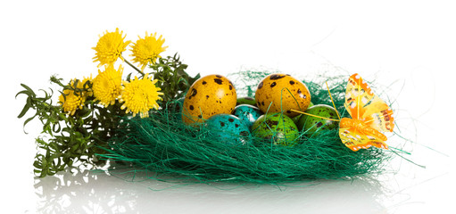 Colorful Easter eggs in nest, flowers and butterfly on white.