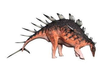 3D Rendering Dinosaur Kentrosaurus on White