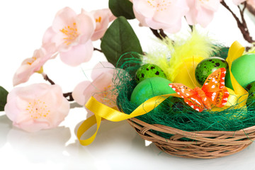 Obraz premium Various Easter eggs in basket and branch with flowers isolated.