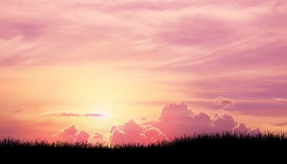 Silhouette grass in Pink purple sky cloud background