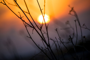 murgia national park , Puglia (Italy)