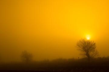 murgia national park , Puglia (Italy)