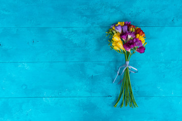 Mix of fresh freesia flowers on blue wooden background with copy space