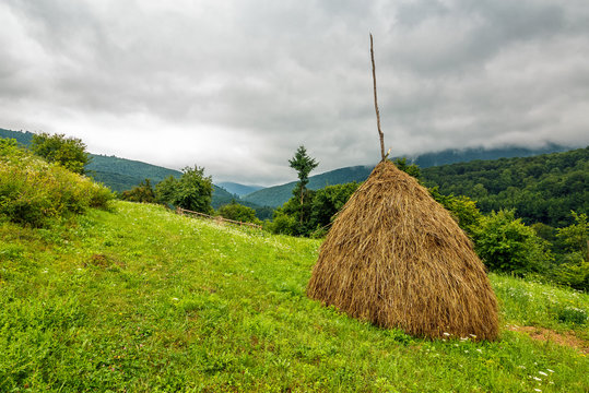 haystack near orchard on hillside