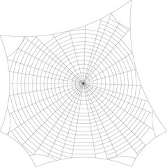 Obraz premium Spiderweb. Isolated on white background. Vector outline illustration.