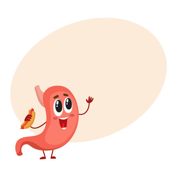 Cute and funny, smiling human stomach character holding hotdog, cartoon vector illustration with place for text. Healthy human stomach character, digestive system element