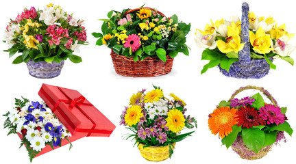 Set of baskets of fresh flowers, gift, isolated on white background