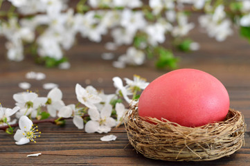 Happy Easter card with Easter egg  in the nest and spring flowers