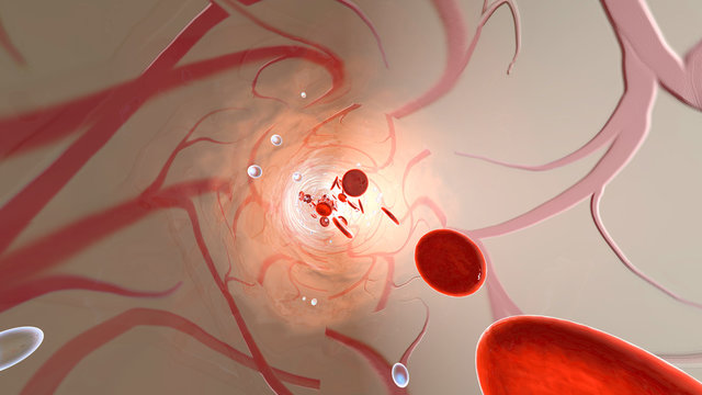 Oxygen molecules and Erythrocytes floating in the blood stream	