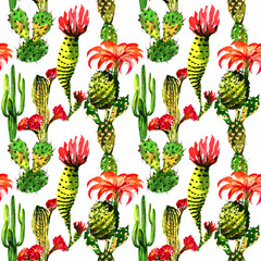 Tropical cactus tree pattern in a watercolor style isolated.
