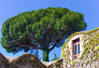 The charm of the Sorrentina peninsula