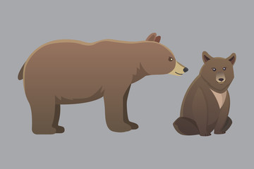 Collection with different cartoon bears isolated on white background. Vector broun and black american bear. Set Wildlife or zoo grizzly.