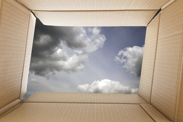 View from inside a cardboard box
