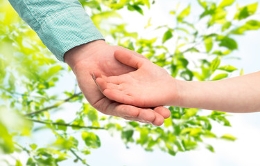 father and child holding hands over green leaves
