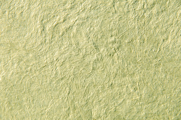 Grass paper with visible fibers, homemade