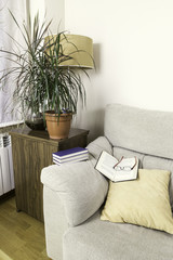 book and glasses on the top of the arm of a sofa with some green plants
