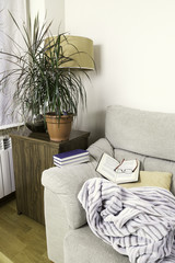 book and glasses on the top of the arm of a sofa with some green plants
