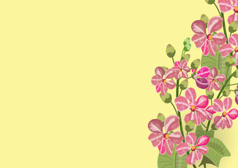 Pink lagerstroemia flowers hand drawn in watercolor brush design, isolated pictures for object or background