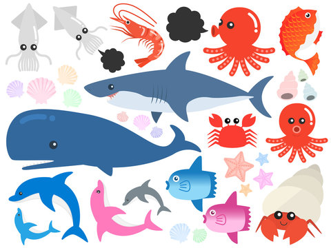 316 Best やどかり Images Stock Photos Vectors Adobe Stock