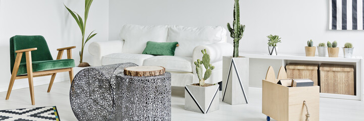 Modern living room with cactuses - obrazy, fototapety, plakaty